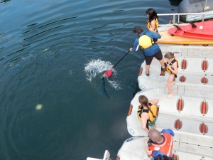 Connor clears the way of the jellyfish for the polar plungers with a paddle.