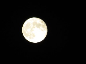 IMG_4083